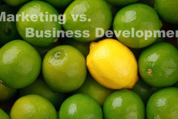 Marketing vs. Business Development
